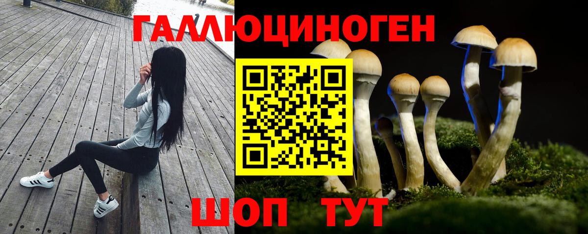 Рузаевка  Галлюциногенные грибы Psilocybe  Вход с VPN 